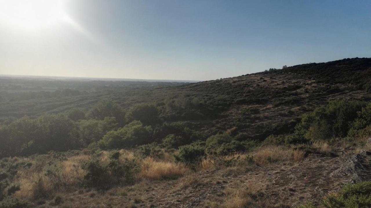 Le Cottage De La Doucette Paimpont Εξωτερικό φωτογραφία